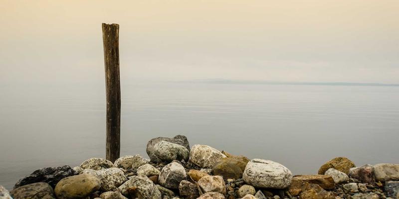 破局与新生:青岛物流企业数字化转型实战指南,从订单管理到运输可视化的全链路升级