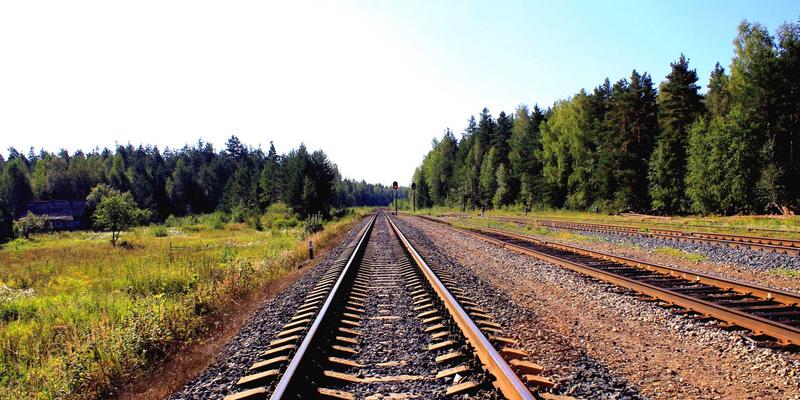 青岛生鲜农产品物流配送网络优化:仓储升级与运输革新双轮驱动